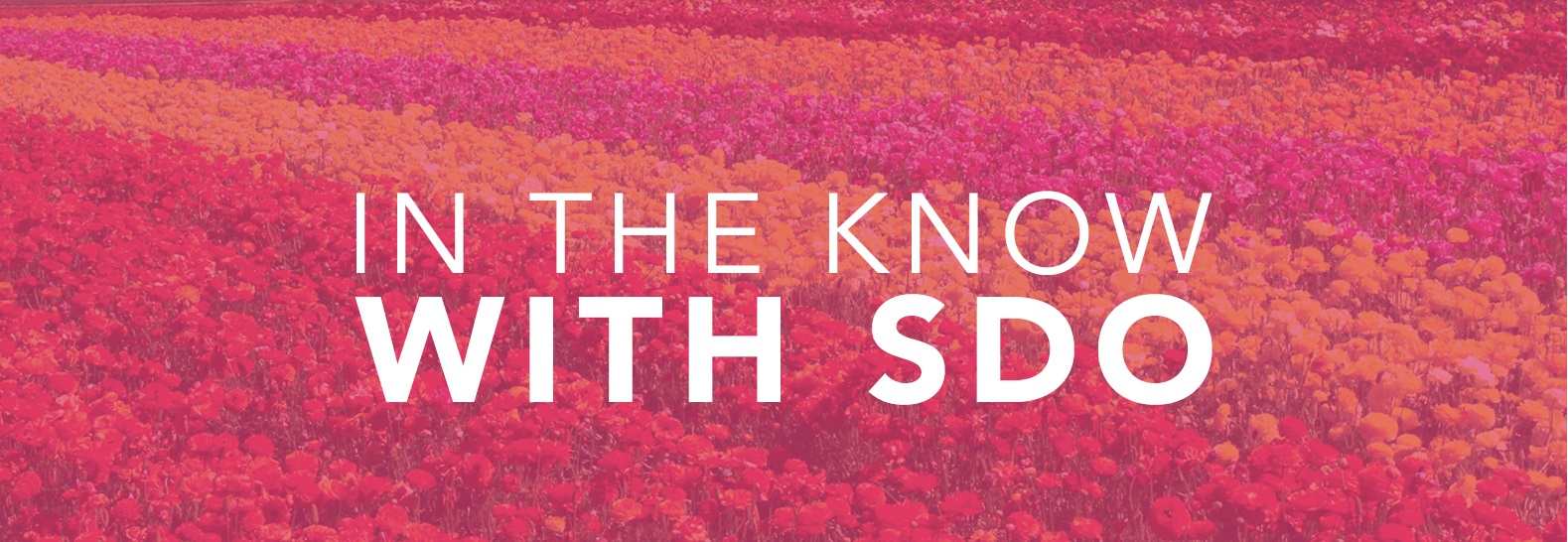 In The Know with SD Opera