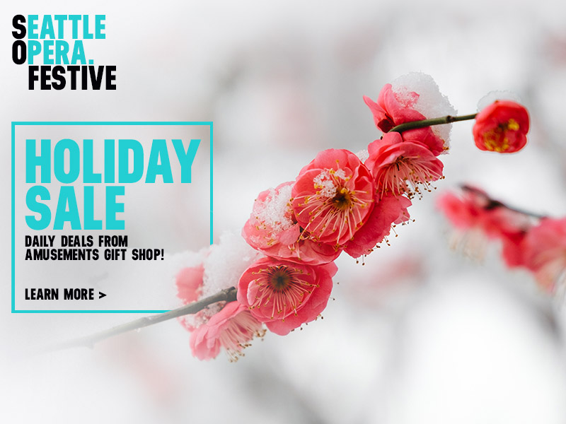 Holiday Sale: Daily Deals from Amusements Gift Shop! | Learn More >