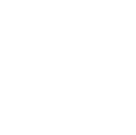 [IMAGE] A white roundel on a black background.