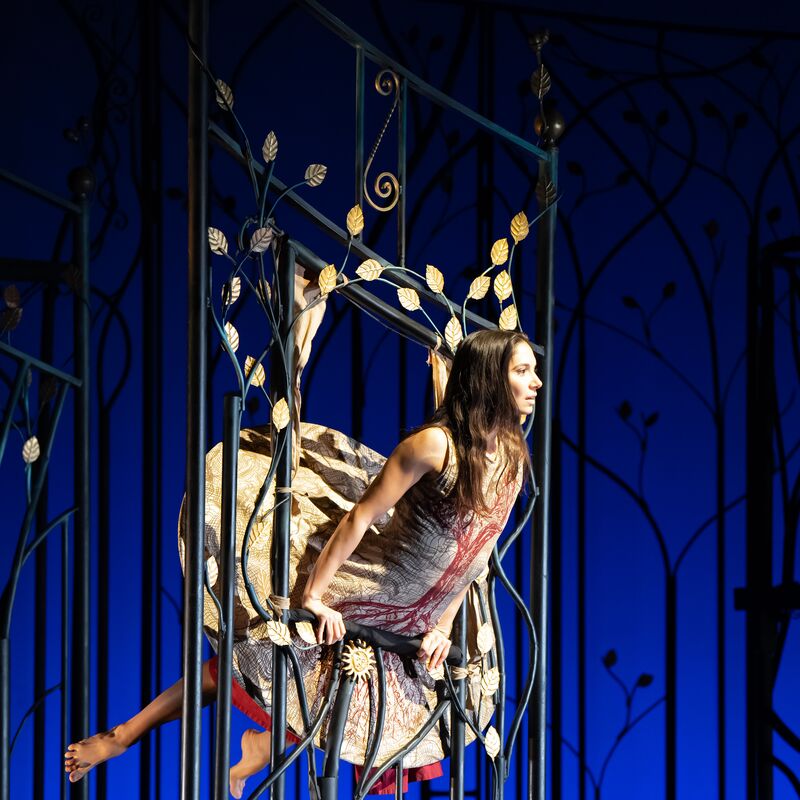 Female dancer leans through an opening in a metal fence decorated with branches and leaves.