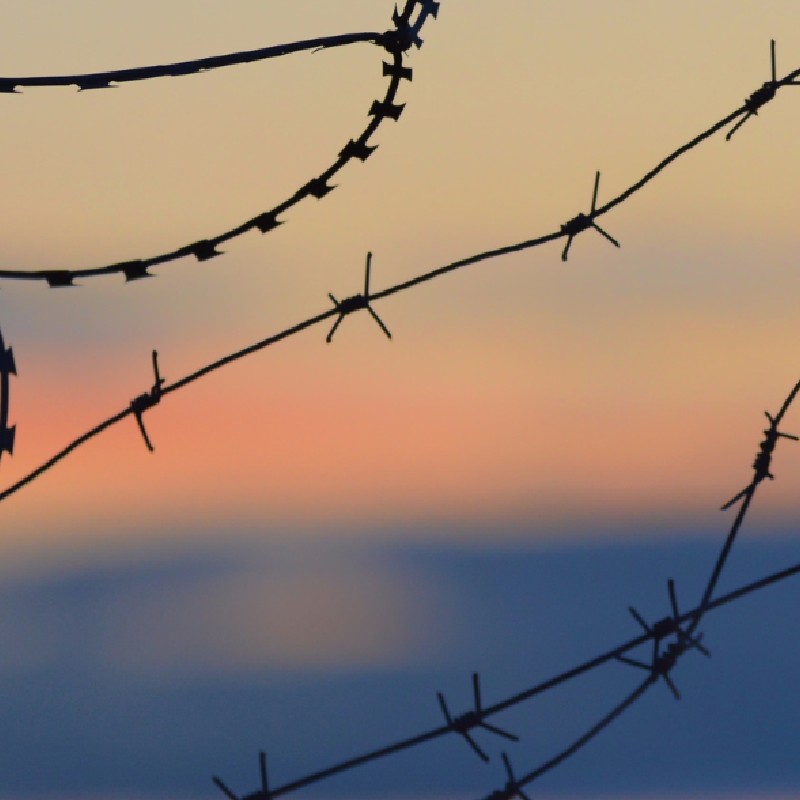 A blurred orange and yellow sunset is visible through silhouetted barbed wire.