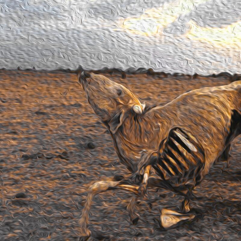 Artwork of a disfigured calf in a barren field