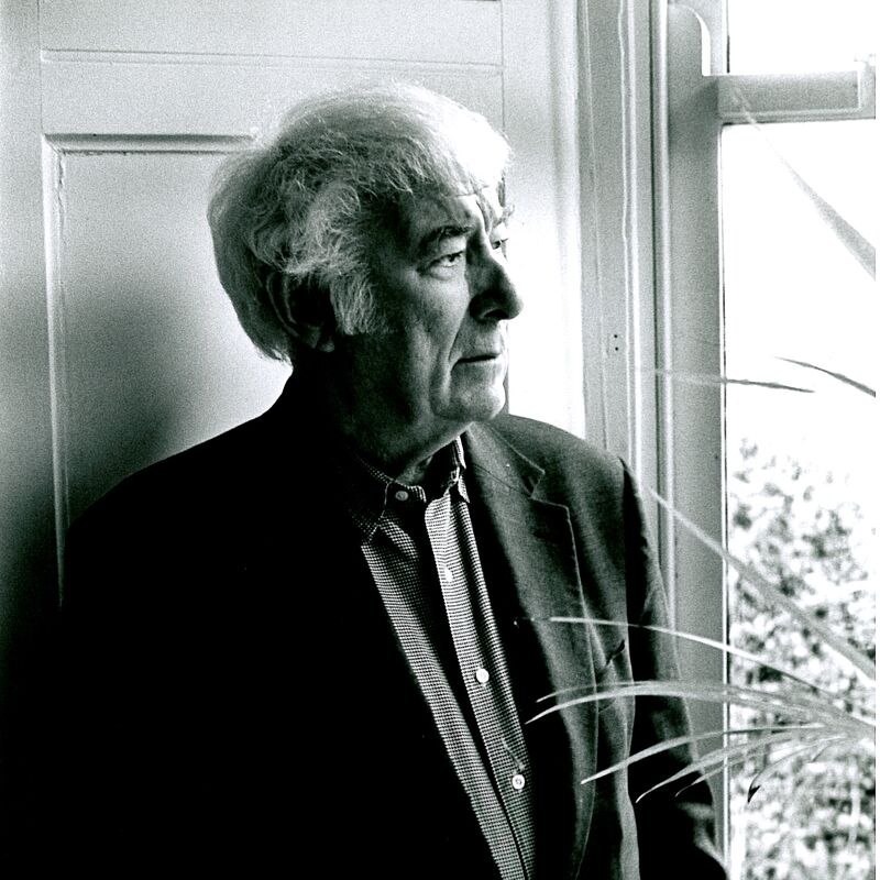 A black and white photo shows poet Seamus Heaney leaning against a wall looking out a window pensively. He wears a dark suit jacket and shirt and has shaggy, white hair.