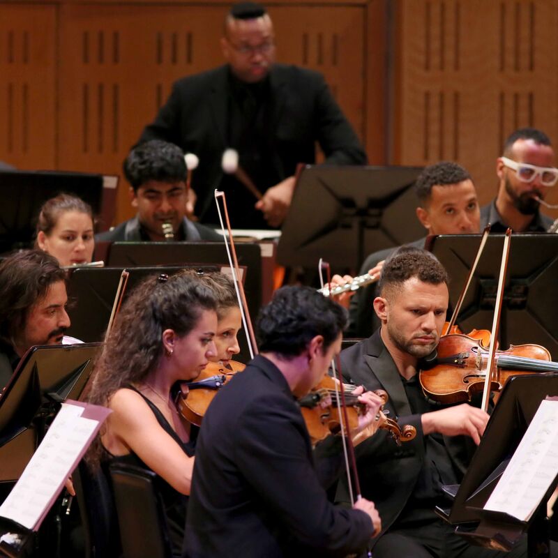 Orchestra musicians on stage, mid-performance, violins in the foreground with woodwinds and a timpanist in the background