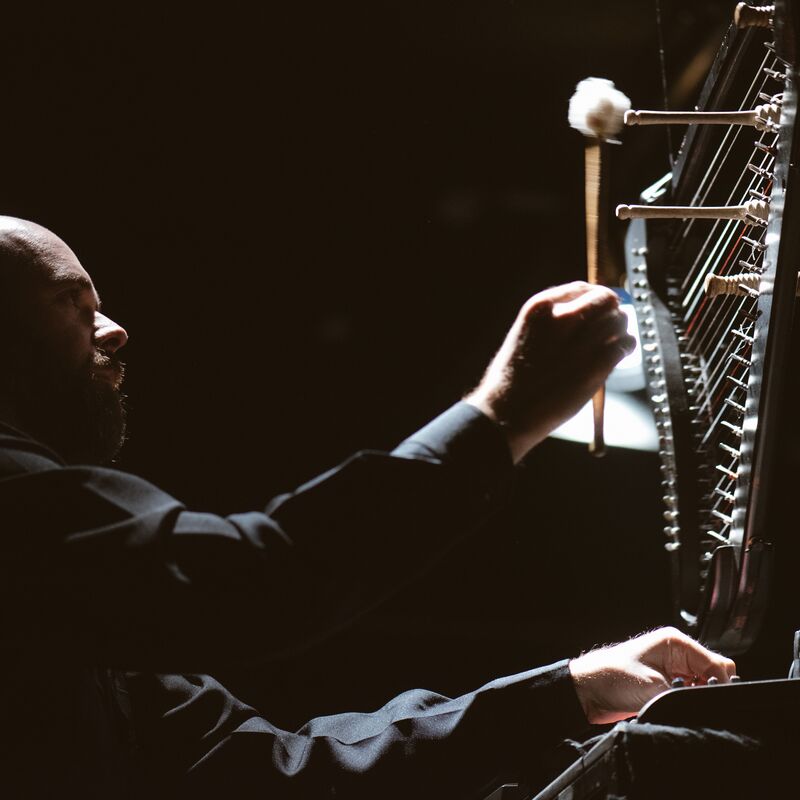 Atmospheric harp performance by Rhodri Davies