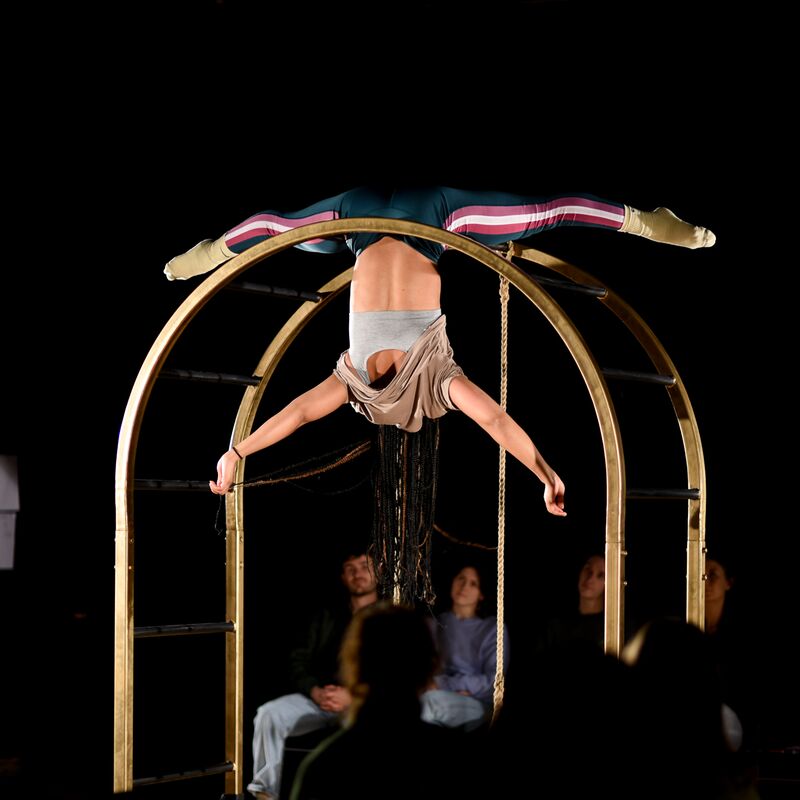 A performer hands upside down while holding on with their legs on a gold arched frame.