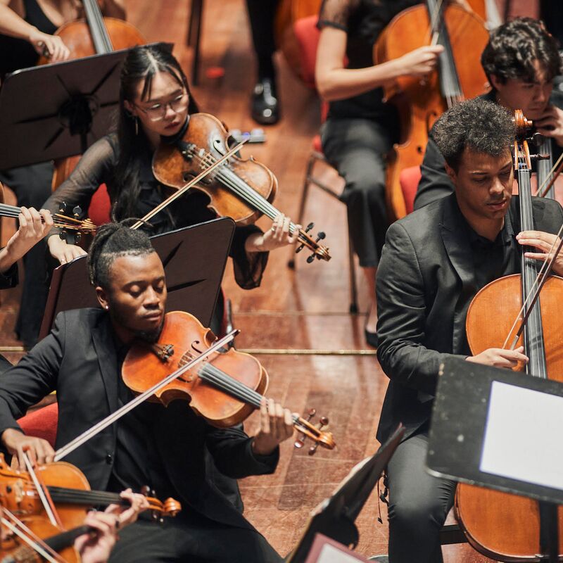 String section of an orchestra as they play