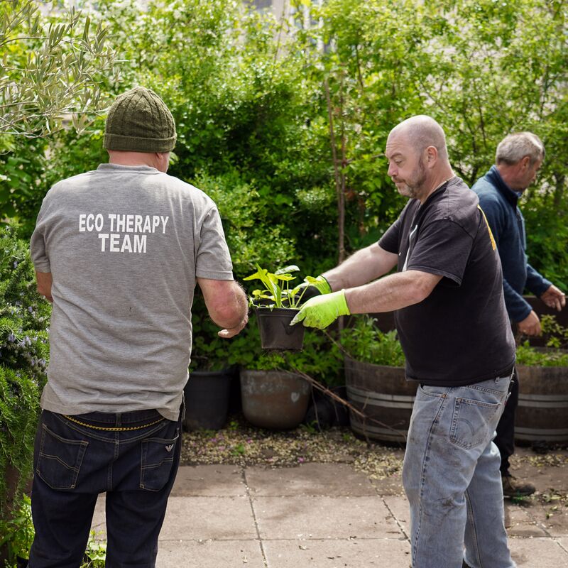 Volunteers form Grounded Ecotherapy at work readying the Queen Elizabeth Hall Roof Garden for reopening