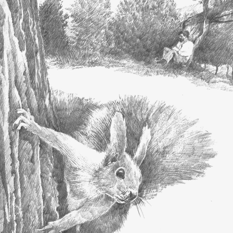 Pencil drawing of a squirrel clinging to a tree.