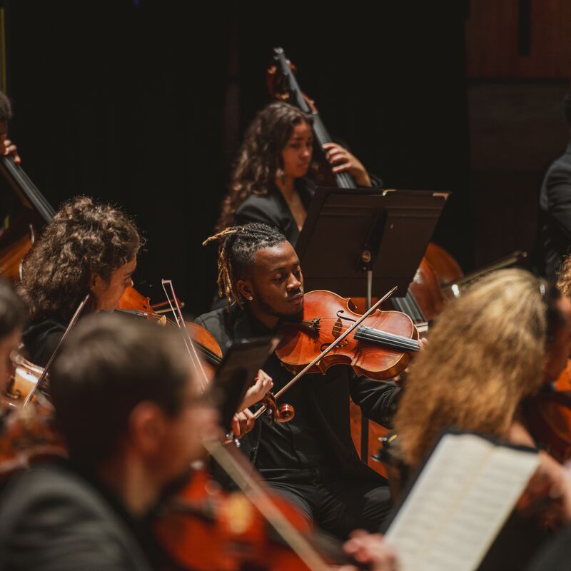 Chineke! Orchestra viola section during a preformance