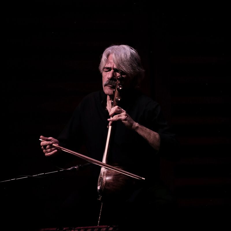 Artist playing a Sitar, one hand on the strings the other on the bow playing with eyes closed