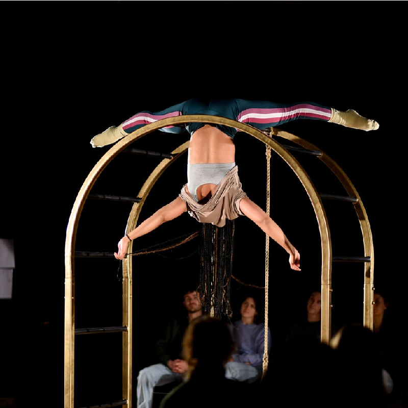 A performer hands upside down while holding on with their legs on a gold arched frame.