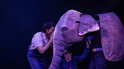 A man gently places his hand on a cardboard elephants head.