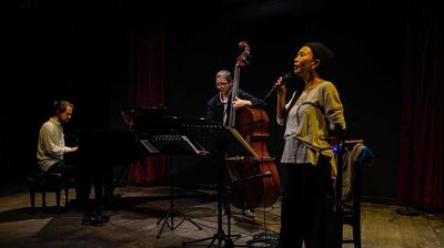 Three musicians on stage playing piano, double bass and singing.