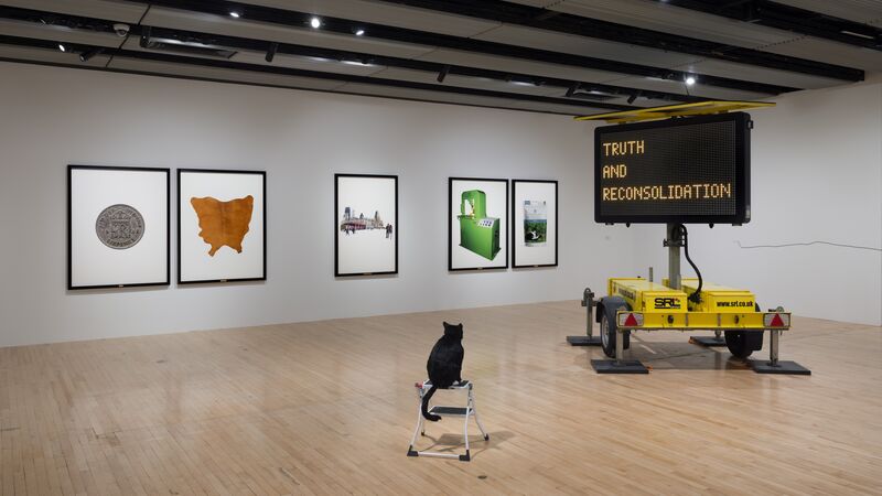 Installation of artwork in a white room, includes an electronic traffic sign and a cat sitting on a step ladder with prints hung on the wall