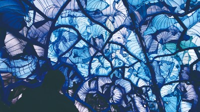 Large blue installation.