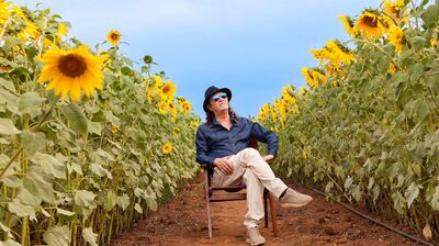 A man wearing a hat and sunglasses sits on a folding chair in the middle of a dirt path between two tall rows of sunflowers.
