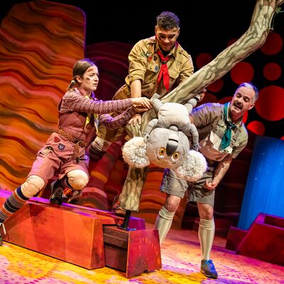 Three people are surrounding a koala