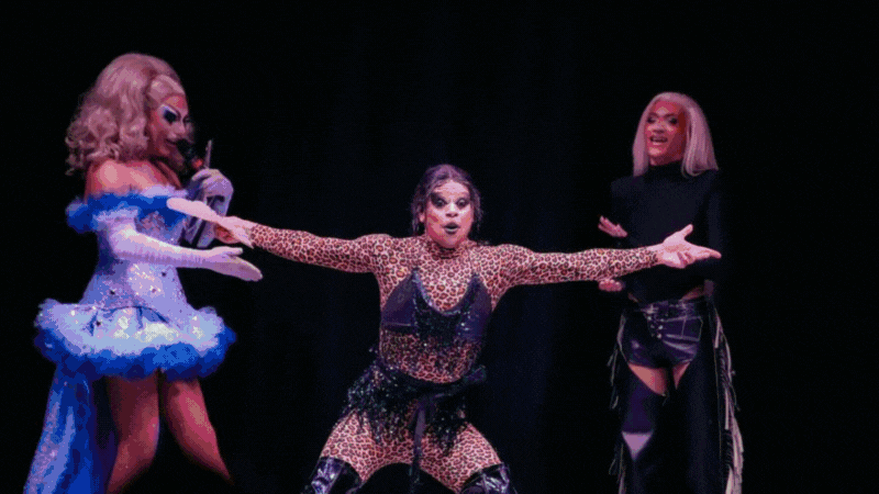 GIF of free events happening at Imagine festival