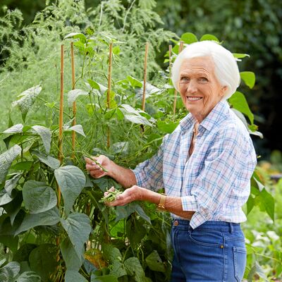A smiling elderly woman with white hair and a plaid shirt is in a garden, harvesting green beans from a climbing plant supported by wooden stakes.