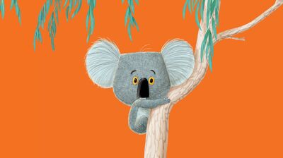 A cartoon koala sat in a eucalyptus tree on an orange background