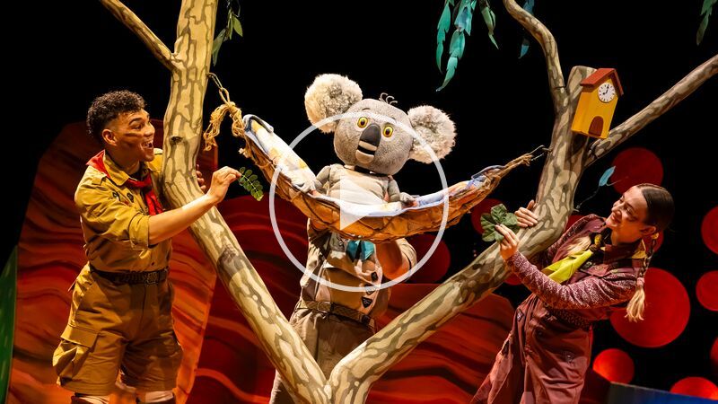 Two people are stood on either side of a Koala in a hammock