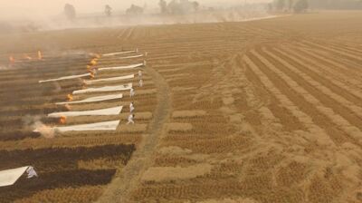 From above, people in white run through a dry field trailing long white banners that are being consumed by fire.