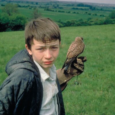 A young boy with a bird perched on his hand, standing in a field