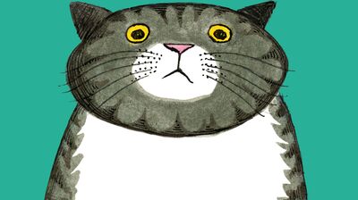 Drawing of Mog the Forgetful Cat, a friendly cat with an inquisitive expression, drawn on a blue background