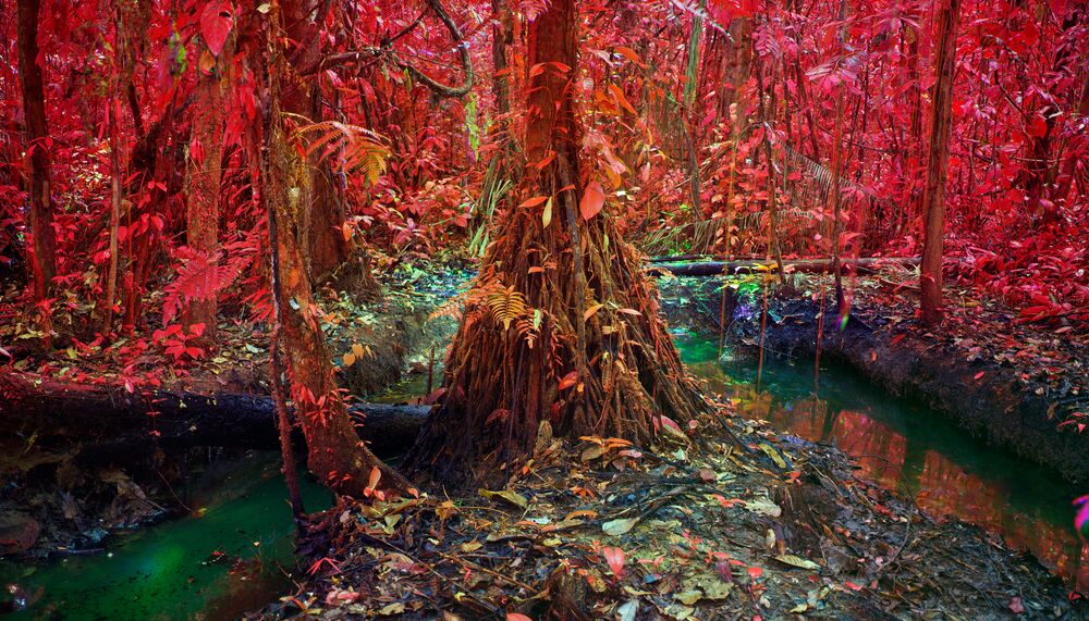 Richard Mosse, Oil Spill on Kichwa Territory III Block 192, Rio Tigre, Loreto, 2023. Digital C print © Richard Mosse, 2023. Courtesy of the artist, Jack Shainman Gallery and carlier gebauer.