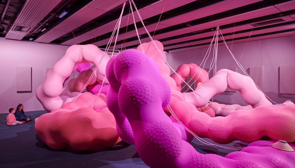 Installation view of large pink sculptures.