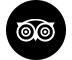 tripadvisor