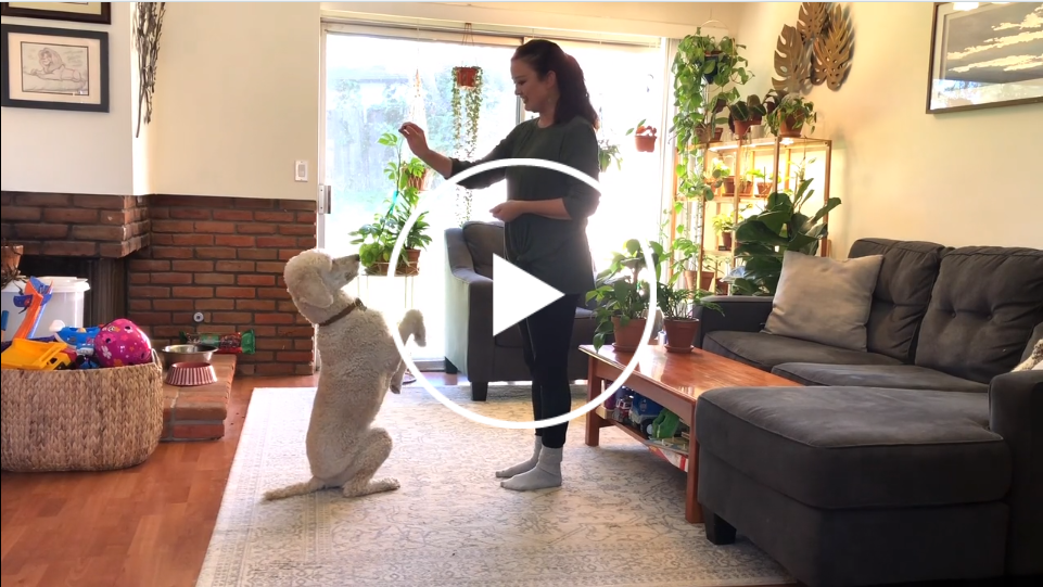 Watch "creative ways to spend your days at home"