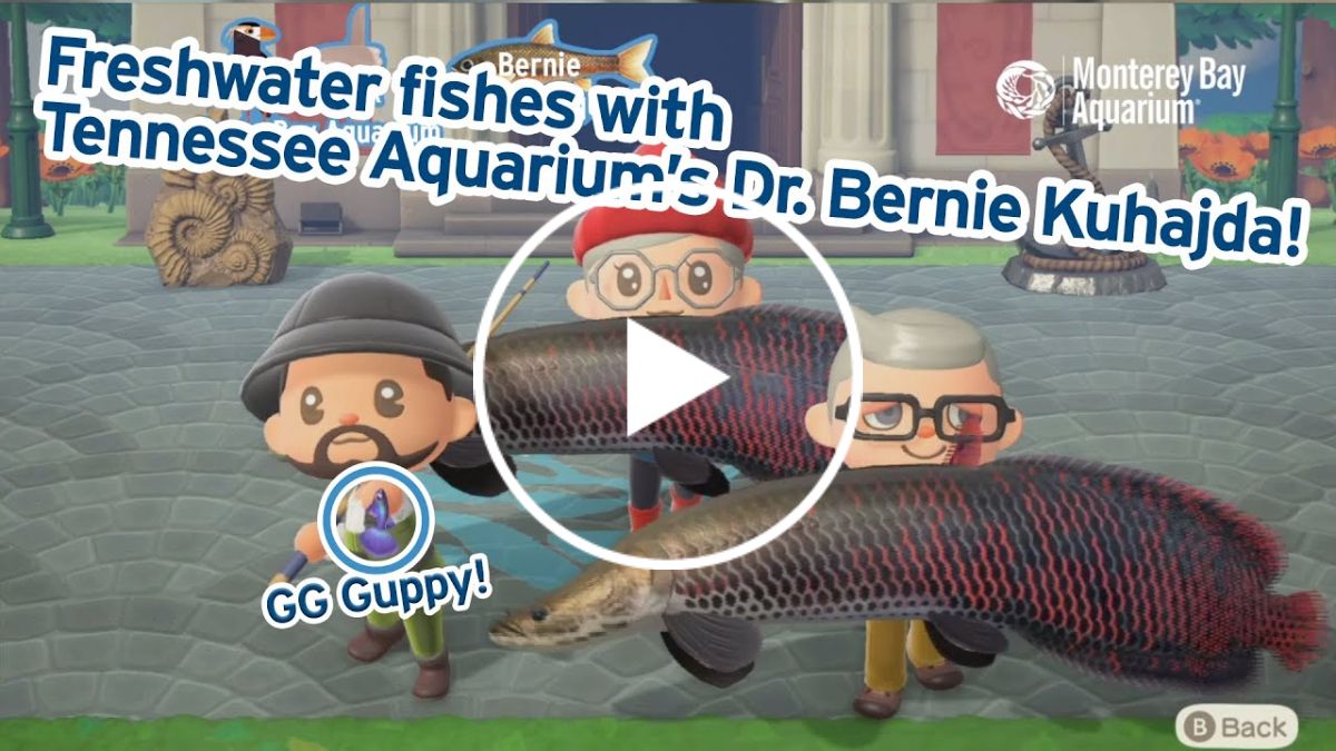 Animal Crossing's Freshwater Fish with Tennessee Aquarium's Dr. Bernie!