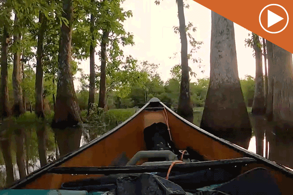 Watch: Roanoke River Trail
