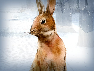 Illustration of bunny in the snow.