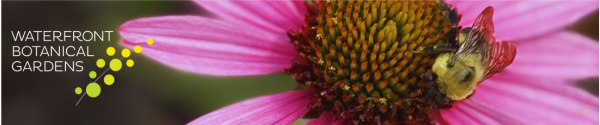 A close-up of a vibrant pink coneflower with a bumblebee collecting nectar from its center. The Waterfront Botanical Gardens logo is displayed on the left side of the image.