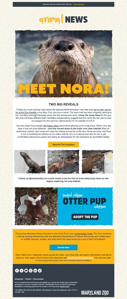 📰 🦦 Extra! Extra! Big otter pup news.
