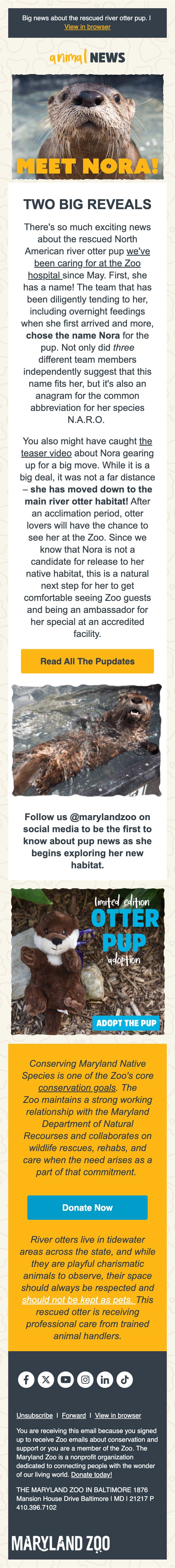 📰 🦦 Extra! Extra! Big otter pup news. - mobile view