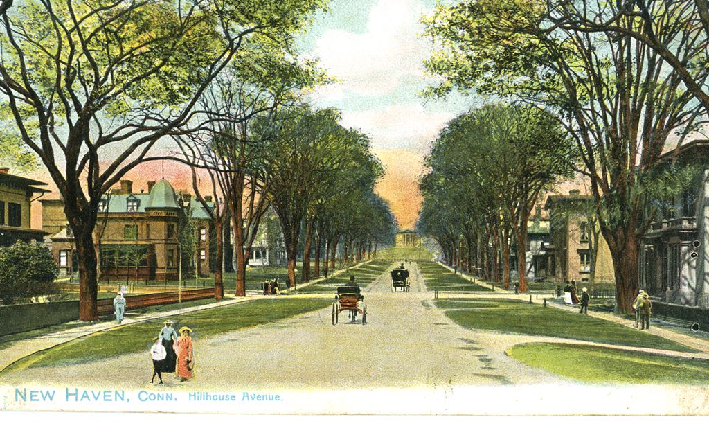 Early 20th century postcard of pedestrians and horse-drawn carriages moving along an unpaved Hillhouse Avenue in New Haven.